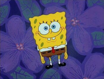 spongebob squarepants wiki|spongebob squarepants theme song.